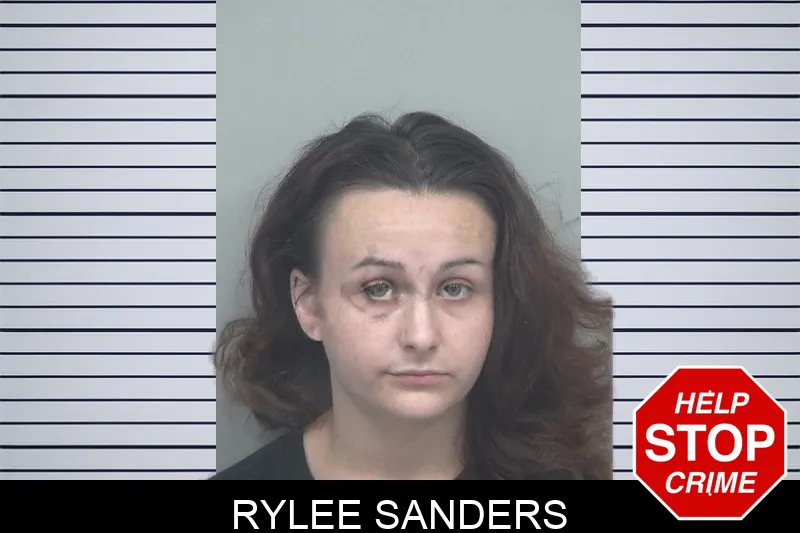 Rylee Sanders mugshot – Gwinnett County , Georgia Rylee Sanders mugshot