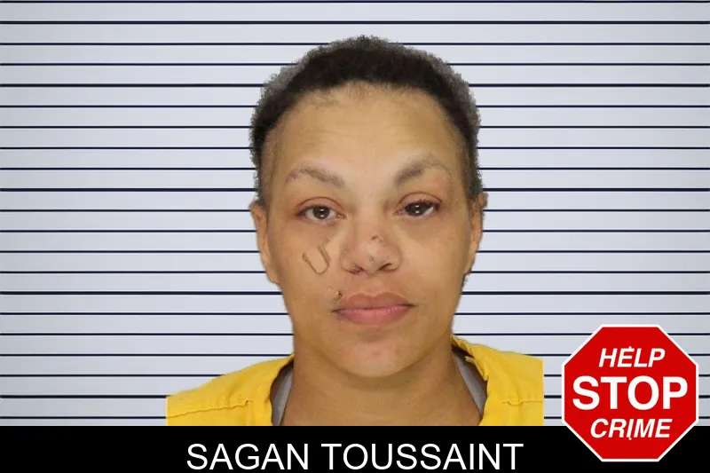 Sagan Toussaint mugshot