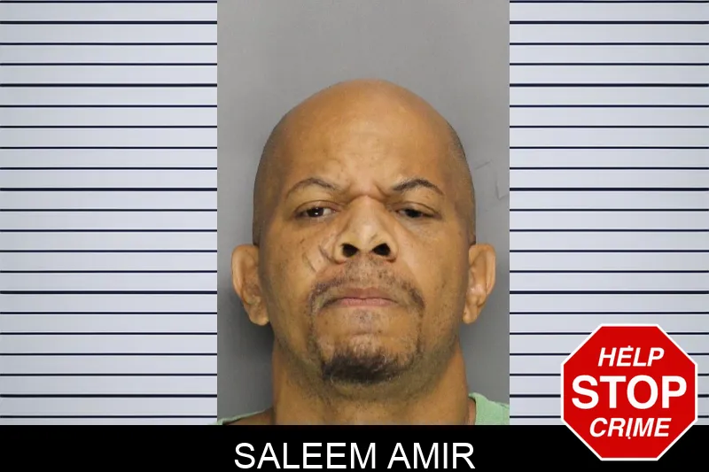 Saleem Amir mugshot – Cobb County , Georgia Saleem Amir mugshot
