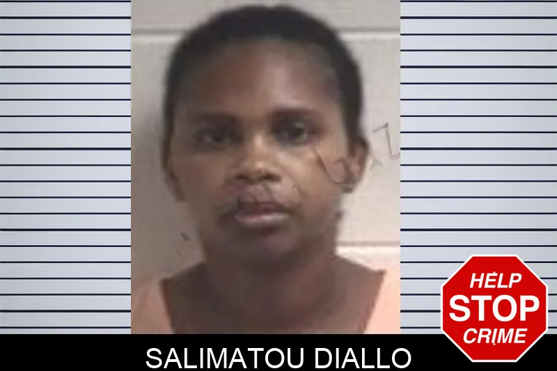 Salimatou Diallo mugshot – Henry County , Georgia Salimatou Diallo mugshot