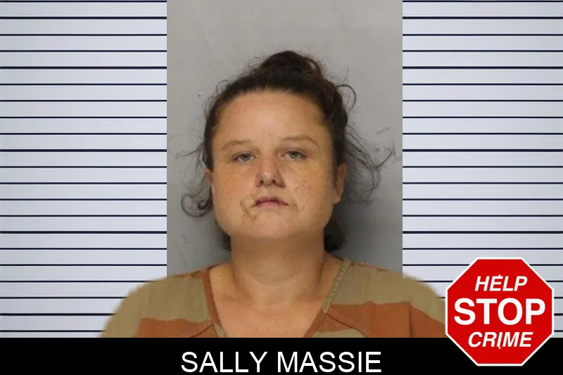 Sally Massie mugshot – Hall County , Georgia Sally Massie mugshot