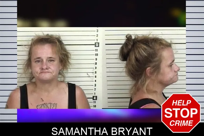 Samantha Bryant mugshot – Camden County , Georgia Samantha Bryant mugshot