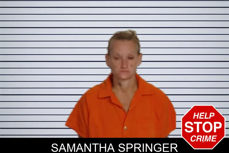 Samantha Springer mugshot – Rockdale County , Georgia Samantha Springer mugshot
