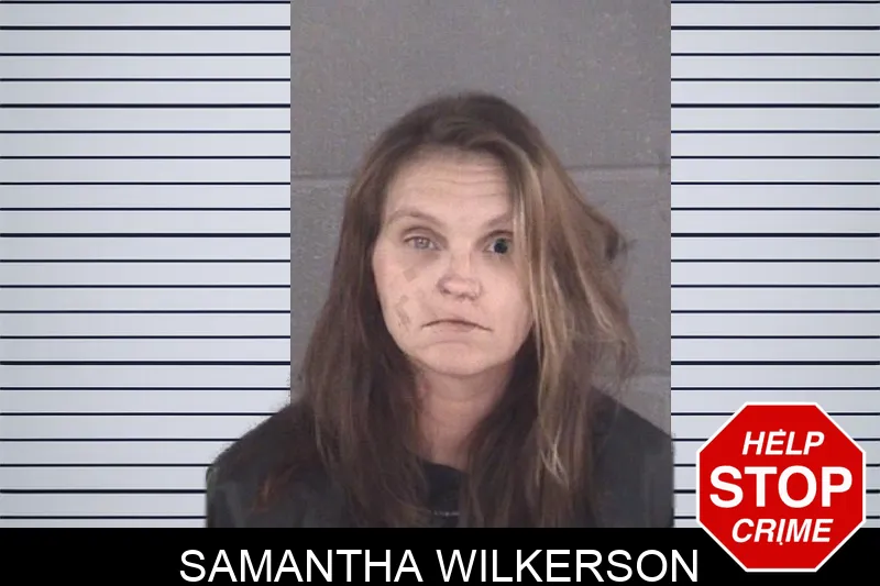 Samantha Wilkerson mugshot