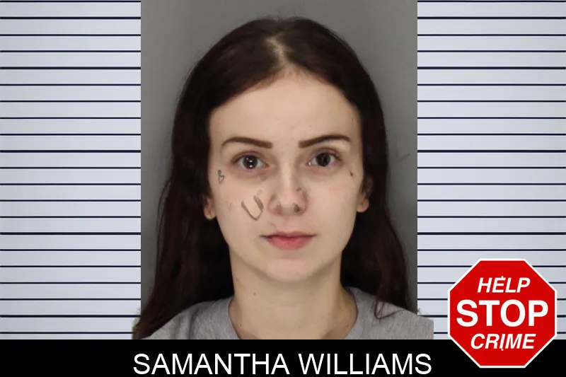 Samantha Williams mugshot