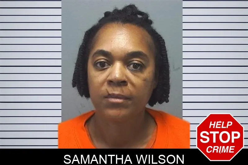 Samantha Wilson mugshot
