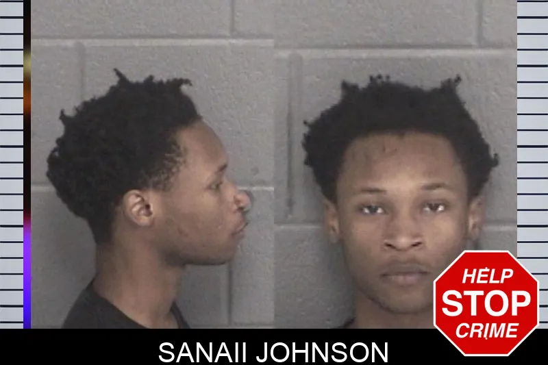 Sanaii Johnson mugshot