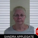 Sandra Applegate mugshot – Fannin County , Georgia Sandra Applegate mugshot