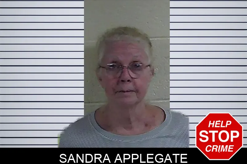 Sandra Applegate mugshot – Fannin County , Georgia Sandra Applegate mugshot