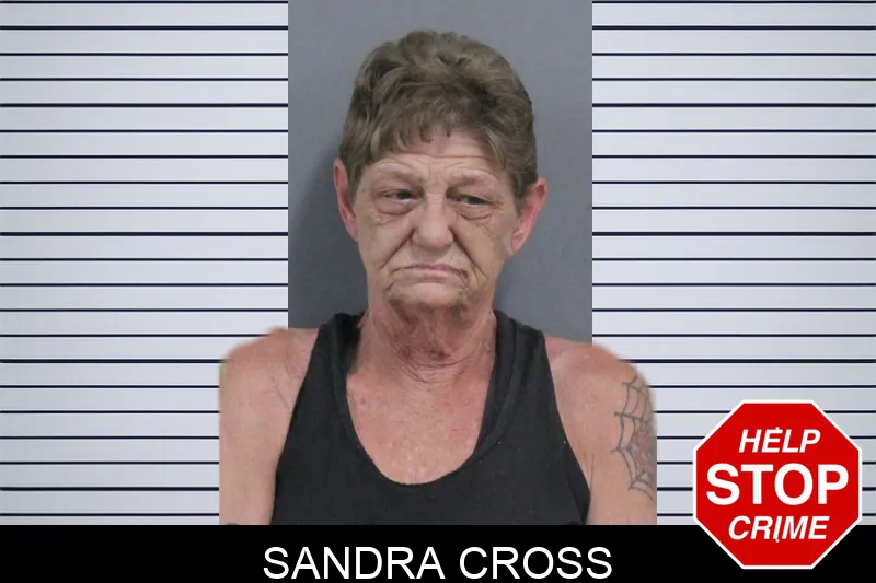 Sandra Cross mugshot – Catoosa County , Georgia Sandra Cross mugshot