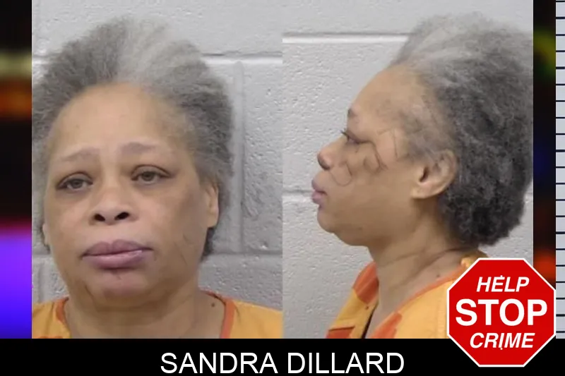 Sandra Dillard mugshot