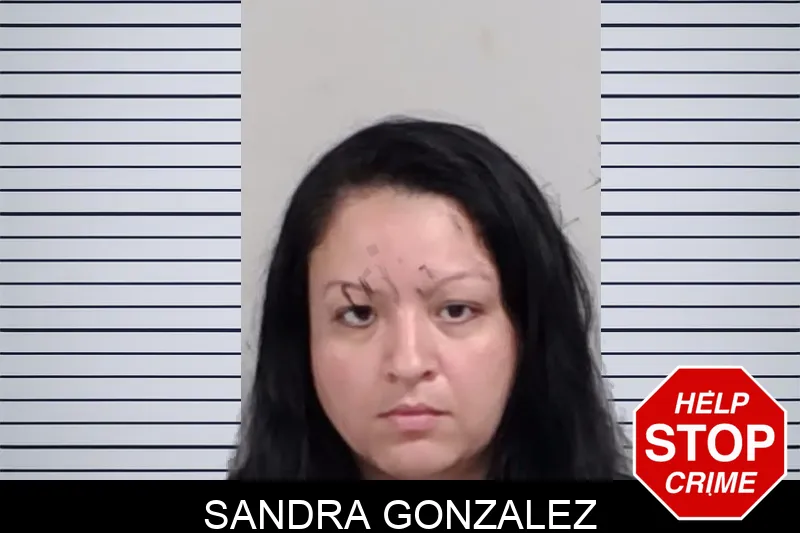 Sandra Gonzalez mugshot – Lowndes County , Georgia Sandra Gonzalez mugshot