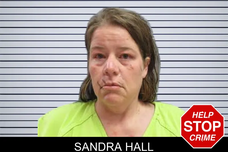 Sandra Hall mugshot