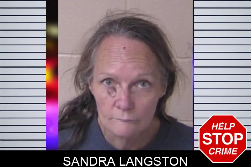 Sandra Langston mugshot
