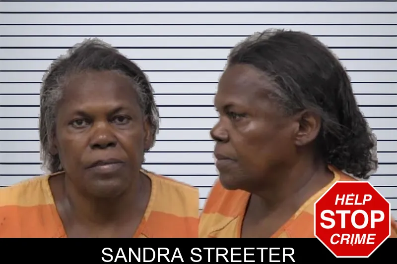 Sandra Streeter mugshot