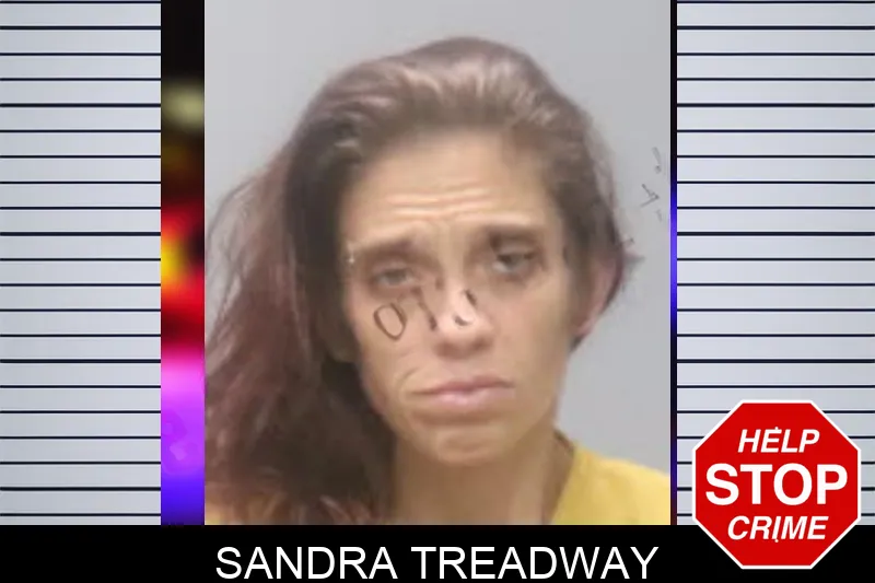 Sandra Treadway mugshot