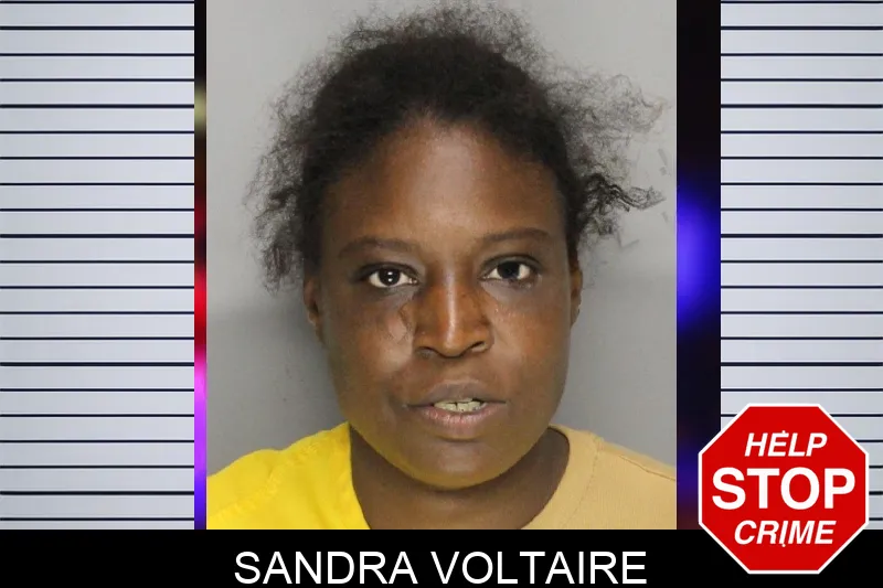 Sandra Voltaire mugshot – Cobb County , Georgia Sandra Voltaire mugshot