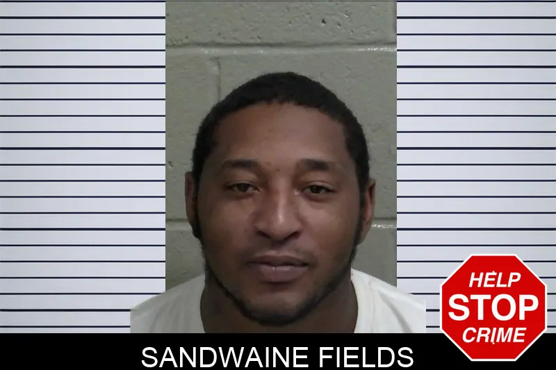 Sandwaine Fields mugshot