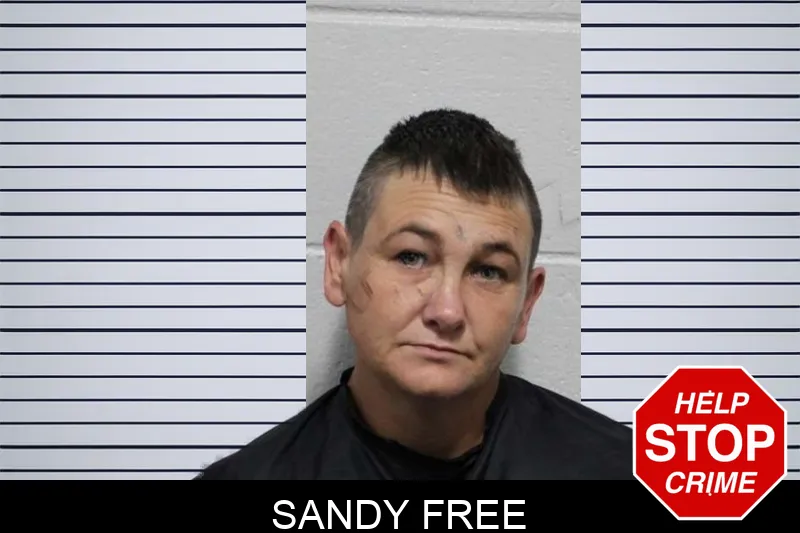 Sandy Free mugshot
