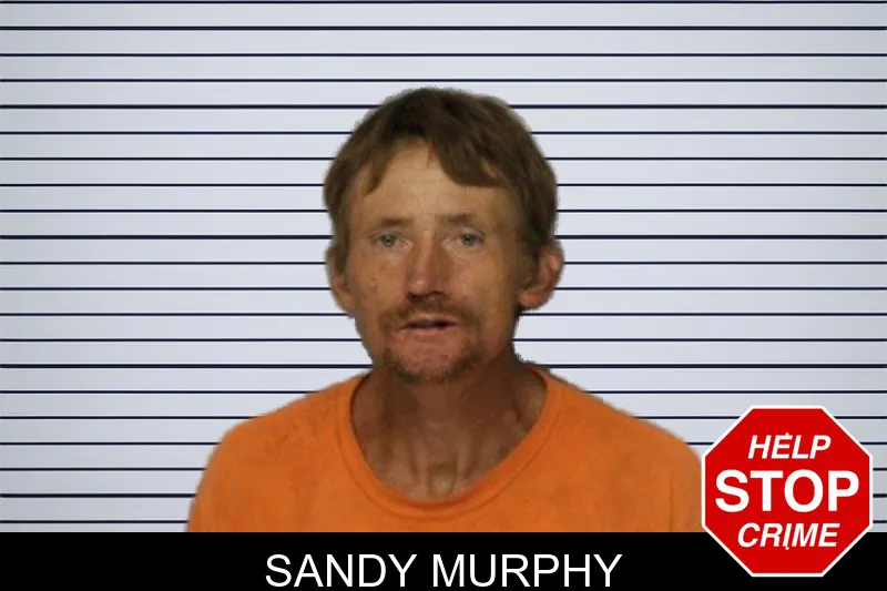 Sandy Murphy mugshot