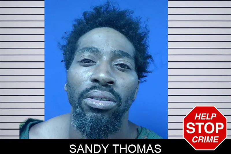 Sandy Thomas mugshot