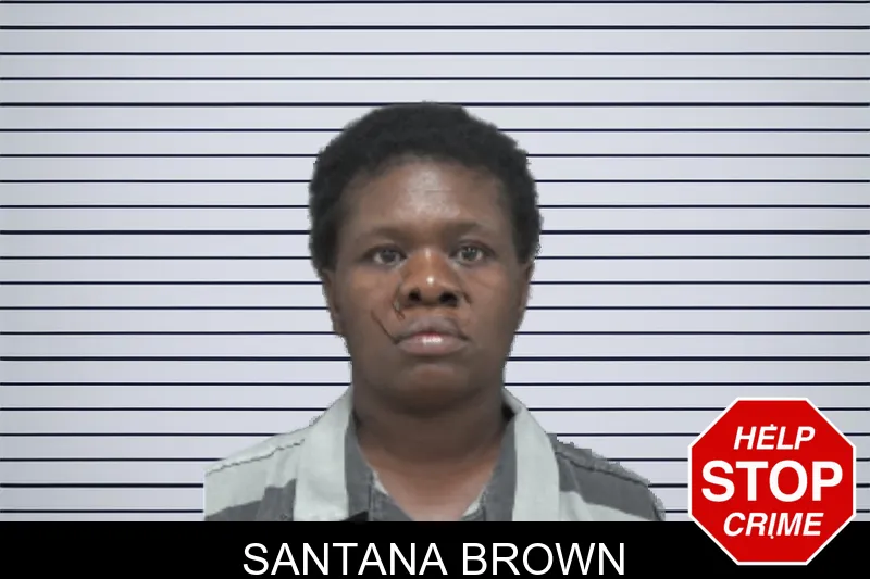 Santana Brown mugshot