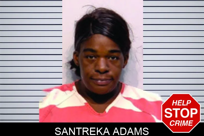 Santreka Adams mugshot – Bartow County , Georgia Santreka Adams mugshot