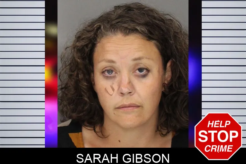 Sarah Gibson mugshot