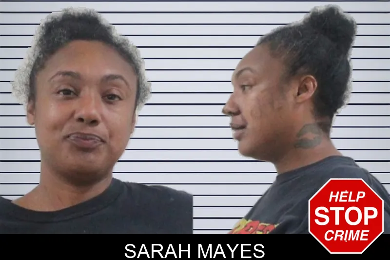 Sarah Mayes mugshot