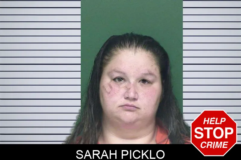 Sarah Picklo mugshot