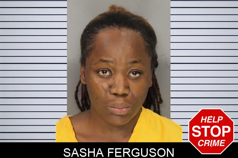 Sasha Ferguson mugshot – Cobb County , Georgia Sasha Ferguson mugshot