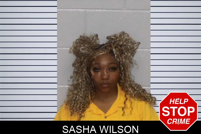 Sasha Wilson mugshot – Morgan County , Georgia Sasha Wilson mugshot