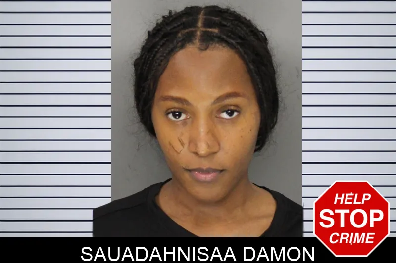 Sauadahnisaa Damon mugshot