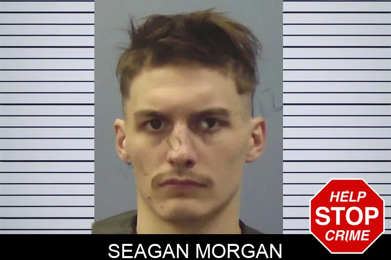 Seagan Morgan mugshot