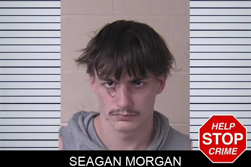Seagan Morgan mugshot