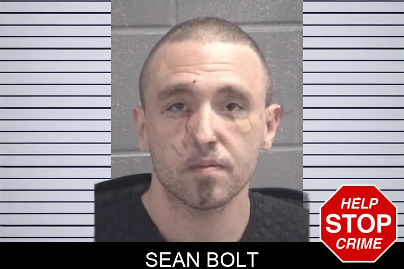 Sean Bolt mugshot