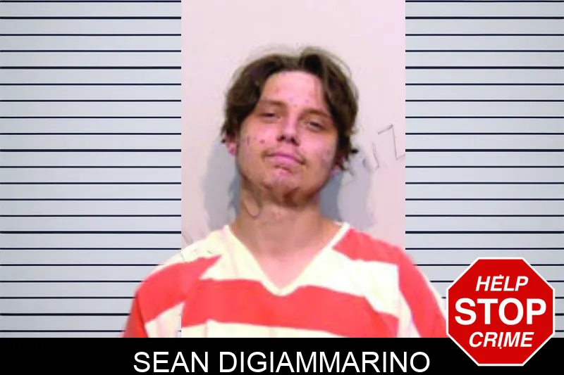 Sean Digiammarino mugshot