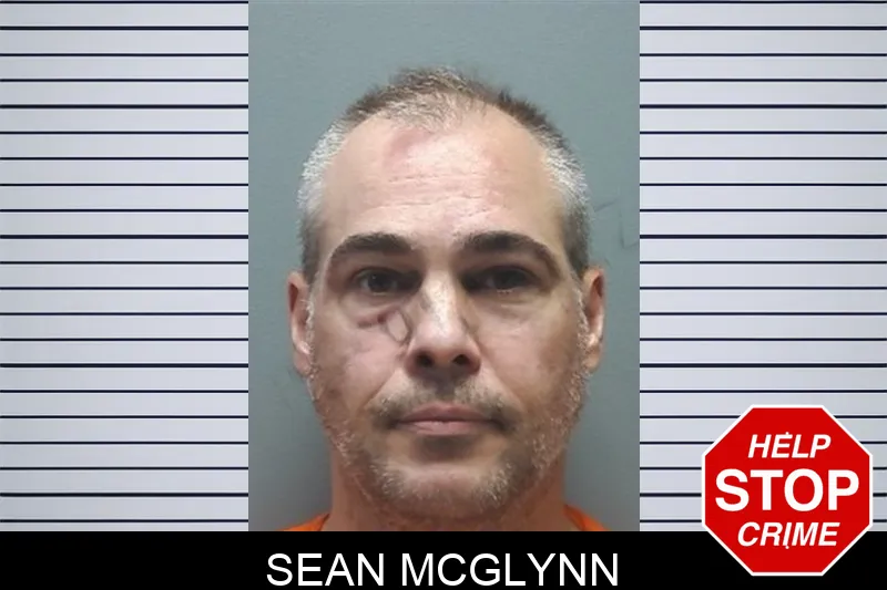 Sean McGlynn mugshot