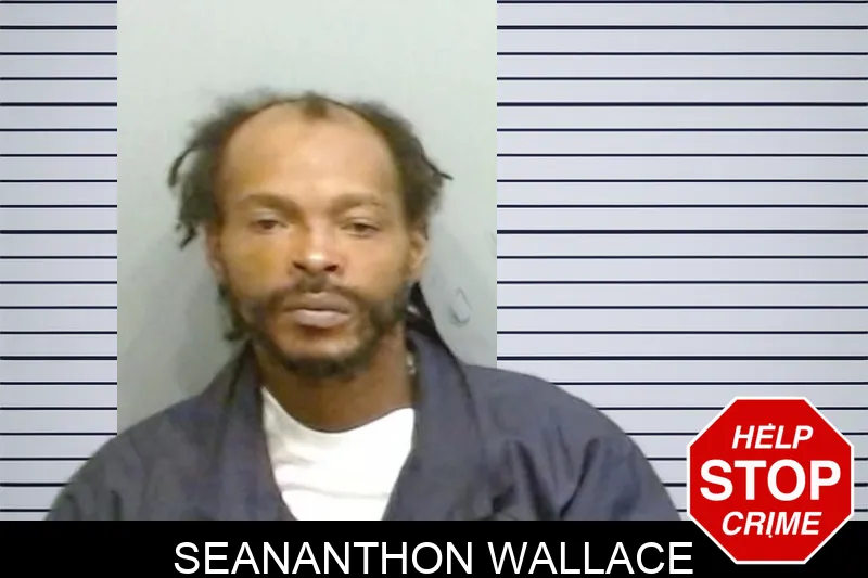 Seananthon Wallace mugshot – Fulton County , Georgia Seananthon Wallace mugshot