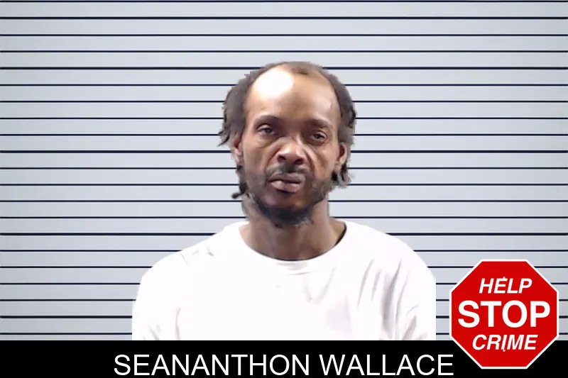 Seananthon Wallace mugshot