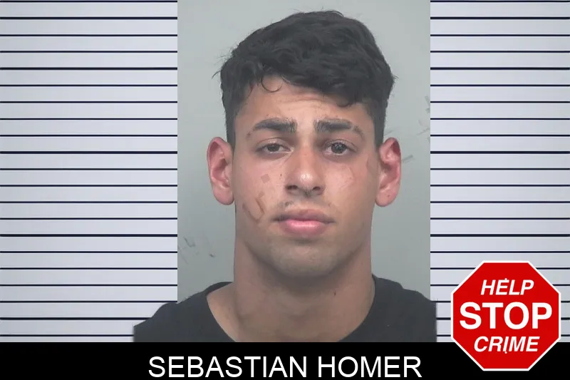 Sebastian Homer mugshot – Gwinnett County , Georgia Sebastian Homer mugshot