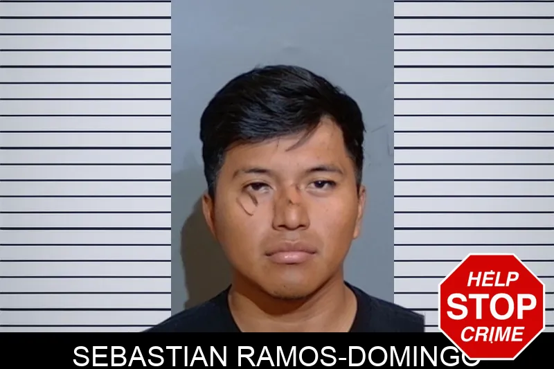 Sebastian Ramos-Domingo mugshot – Glynn County , Georgia Sebastian Ramos-Domingo mugshot