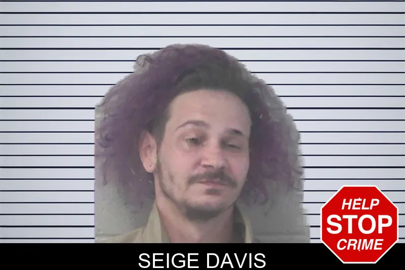 Seige Davis mugshot