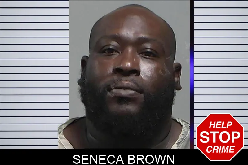 Seneca Brown mugshot