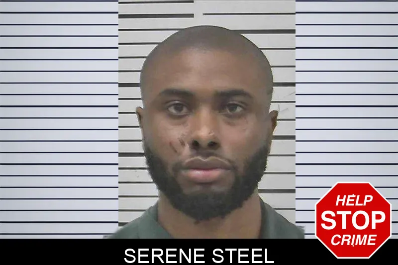 Serene Steel mugshot