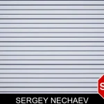 Sergey Nechaev mugshot