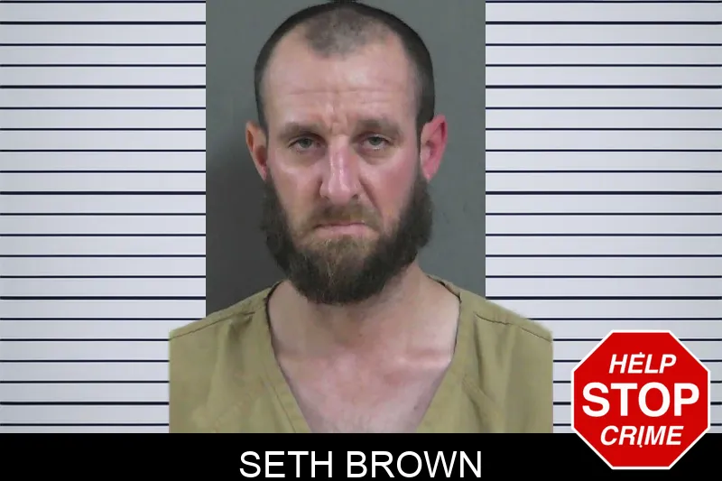 Seth Brown mugshot