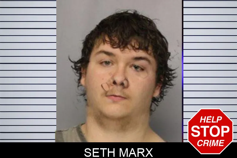 Seth Marx mugshot – Hall County , Georgia Seth Marx mugshot