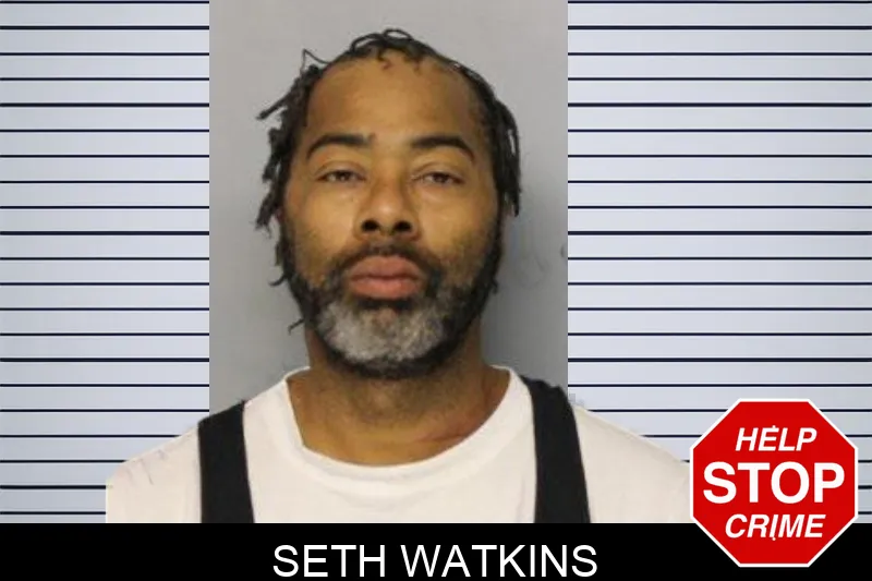 Seth Watkins mugshot