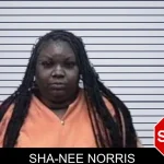 Sha-Nee Norris mugshot